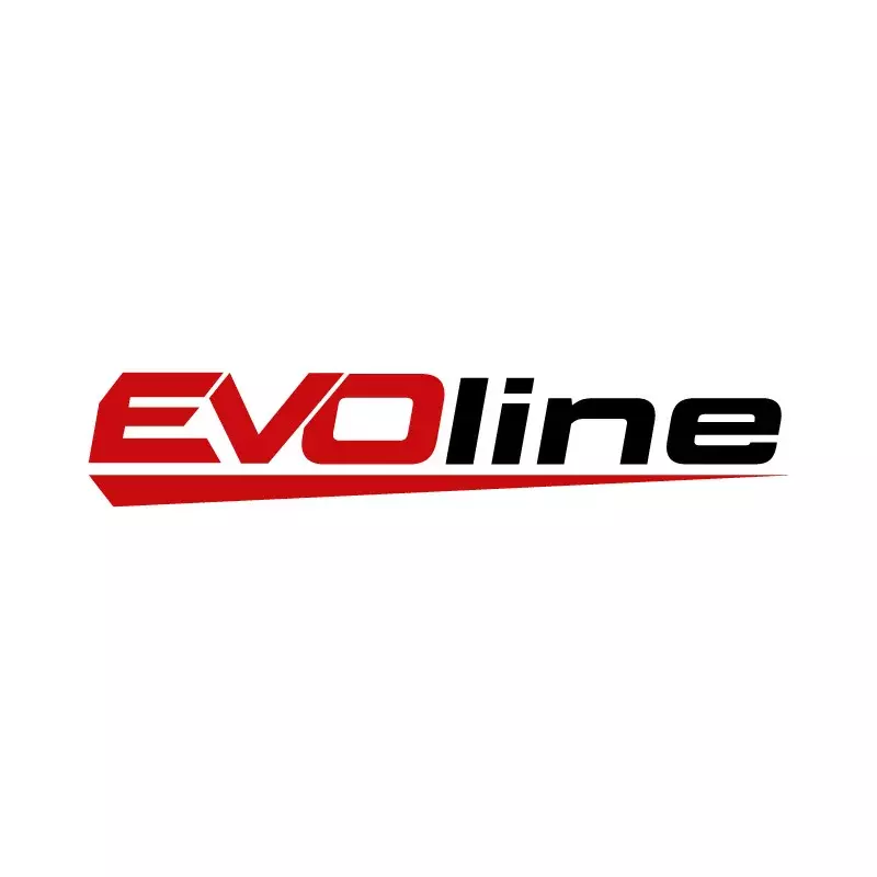 Двигатель бензиновый для генераторов EVOline Zongshen GB 1000 E