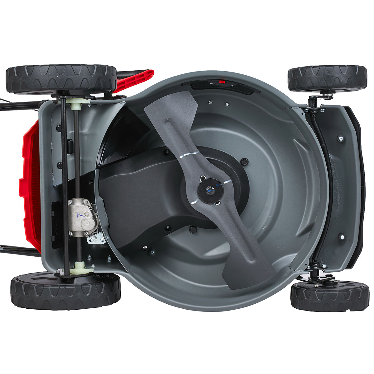 Газонокосилка баензиновая самоходная EVOline LMG 48 CVH двигатель Honda