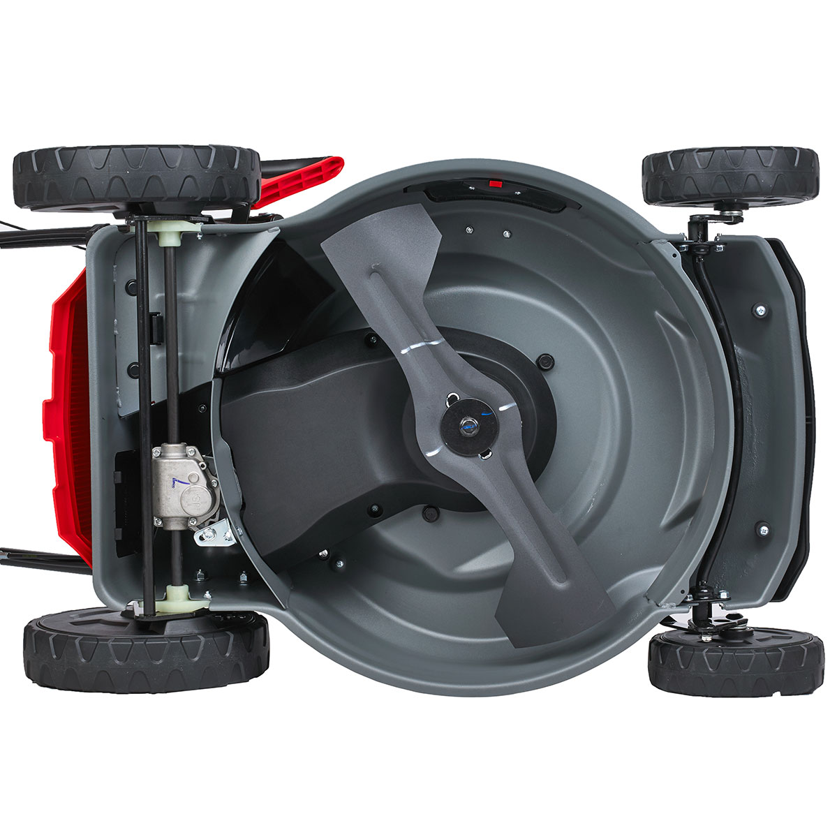 Газонокосилка баензиновая самоходная EVOline LMG 53 CV