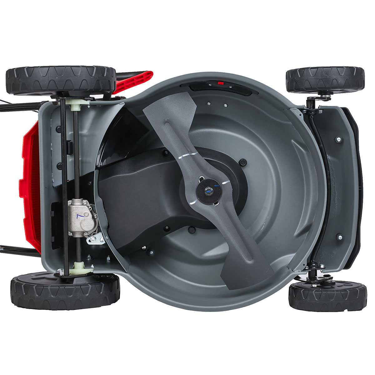 Газонокосилка баензиновая самоходная EVOline LMG 48 CV